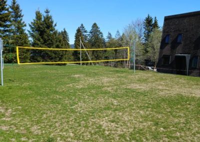 Filet de volley-ball